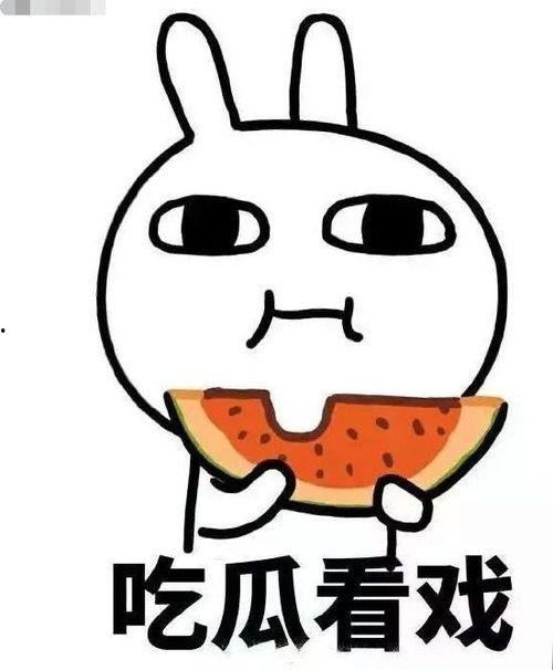 起诉娱乐吃瓜君的案件,揭秘网络舆论的风口浪尖